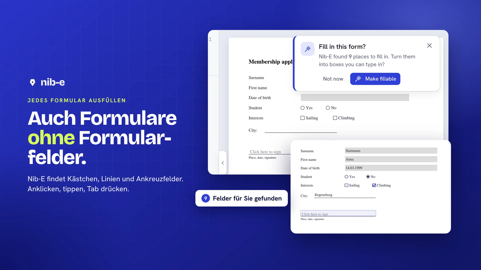 Jedes Formular ausfüllen, auch ohne Formularfelder: Nib-E hat 9 Felder gefunden.